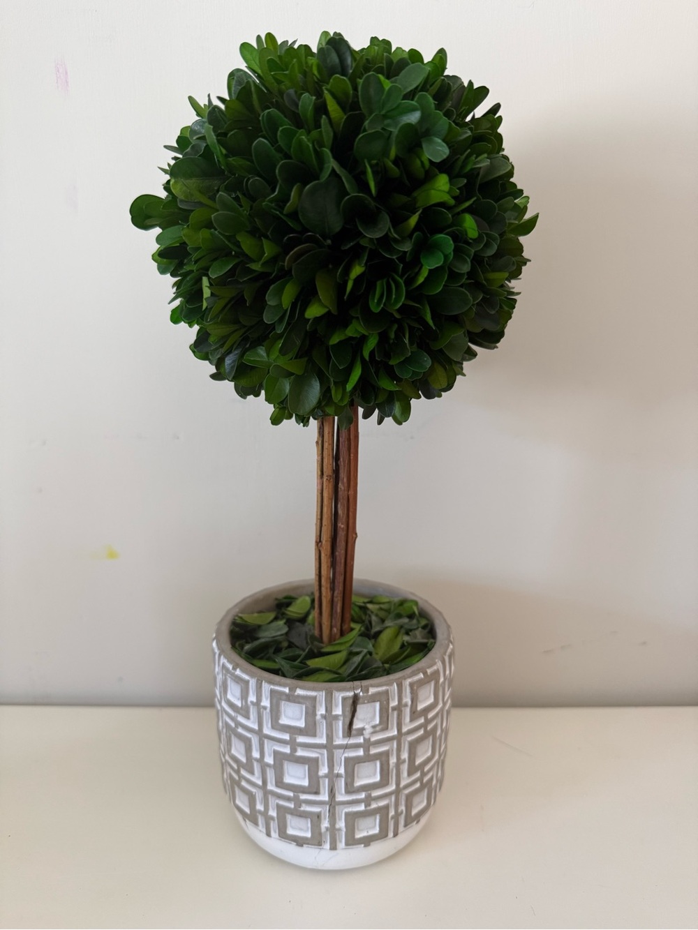 Decorative Green Boxwood Topiary with Patterned Ceramic Pot